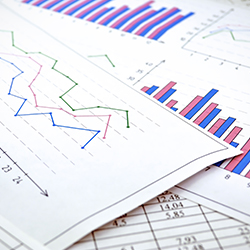 Annual Report Financial Statements